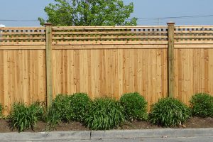 Wood Fences #11