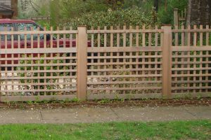 Picket, Latus & Pool Fence #7